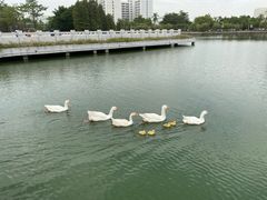 -顺德职业技术大学