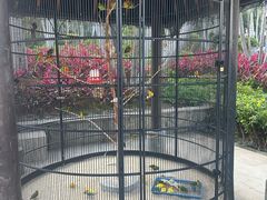 -海南清水湾莱佛士酒店