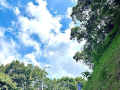 -黄埔油麻山森林公园