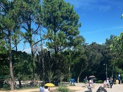 -广东惠东海龟国家级自然保护区