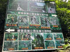 -西双版纳原始森林公园