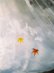 -Flora婚纱礼服定制租赁店