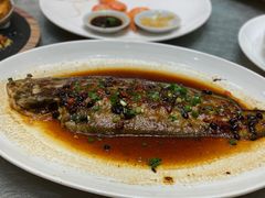 清蒸龙利鱼-聚福宝合苑食府(南头镇店)