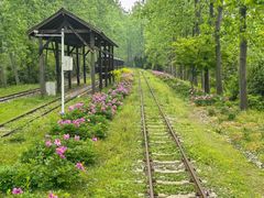 -合肥滨湖国家森林公园