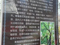 -幕燕滨江·燕子矶公园