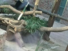 -黔灵山公园-南门售票处