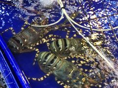 -芭提雅海鲜市场