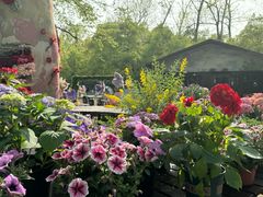 -上海共青森林公园