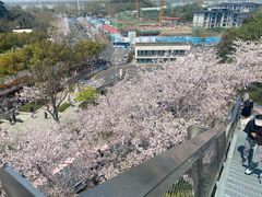 -幕燕滨江·长江观音景区