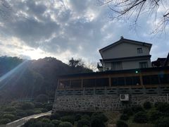 -龙井村