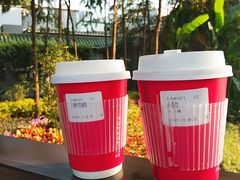 云南烤茶撞奶-大益茶庭(永庆坊店)