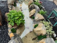 -伴山茶苑·围炉煮茶