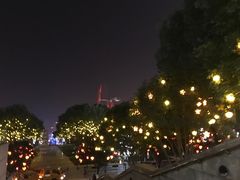 -重庆市江北嘴中央商务区中央公园