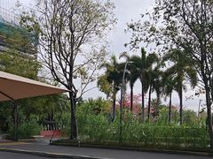 -ommo cafe(半岛城邦店)