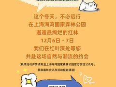 -上海海湾国家森林公园