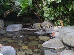 -台山颐和温泉城