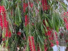 -梅州天地人花园酒店(梅县人民广场店)