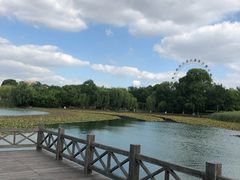 -暨阳湖生态园