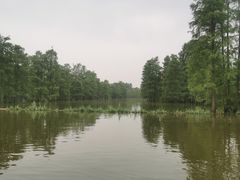 -池杉湖湿地公园