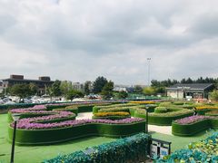 -莫子山公园