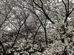 -中国茶叶博物馆(双峰馆区)