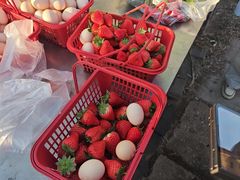 -大自然农场蔬菜草莓采摘园