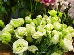 -BOBLOOM花店(宝龙旭辉广场店)