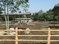 -西安秦岭野生动物园