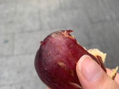 -宝带路(地铁站)