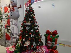 -英孚教育青少儿(河东中心)