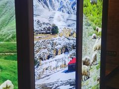 -阿西娅食府(中关村店)