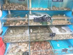 -北戴河庆山饭店·海鲜砂锅粥(北戴河黑石路店)