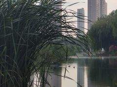 -前关湿地公园