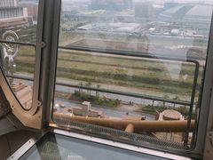 景点-影汇之星8字形摩天轮