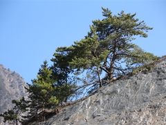 -叠溪松坪沟景区