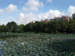 -新江湾城公园