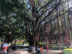 -鼓浪屿内厝澳码头(轮渡站)