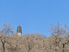 -高尔山公园