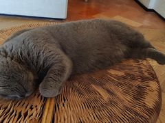 -Me Coffee下午茶艺术空间