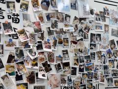 -瑞派·关忠动物医院·猫专科·犬专科(三环新城店)