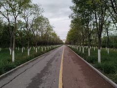 -天津东丽湖风景区