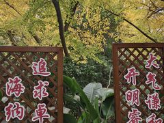 -汇龙潭