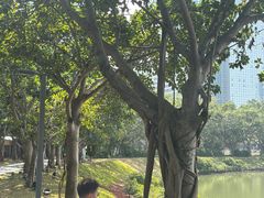 -万绿园