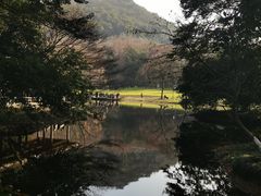 -九曜山