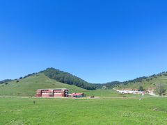 -关山草原