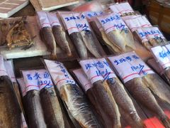 -西涌国际滨海旅游区