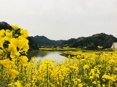 -新安江山水画廊风景区