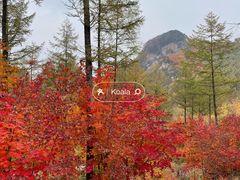 -本溪老边沟风景区