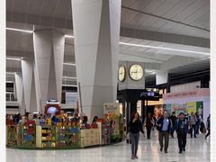 -英迪拉·甘地国际机场