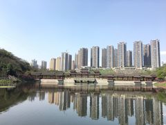 景点-重庆彩云湖湿地公园